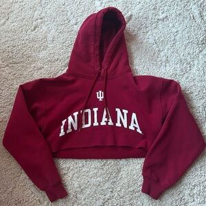 Indiana IU cropped hoodie